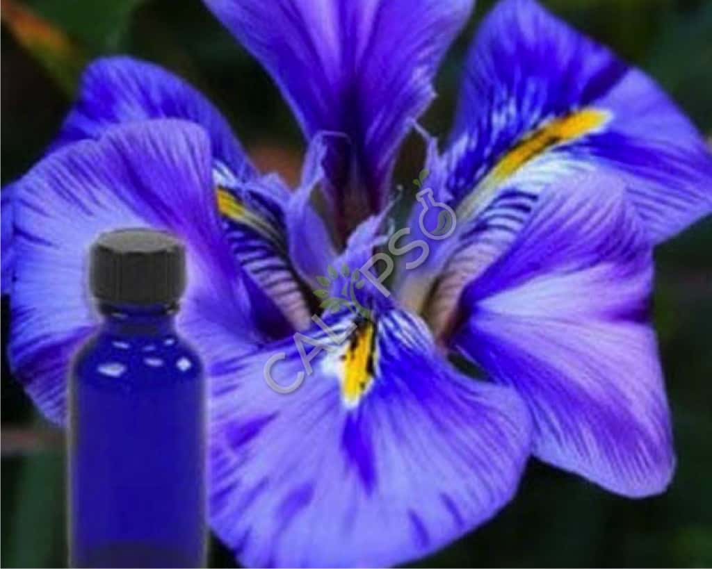 Acquista olio assoluto root 100% puro orris